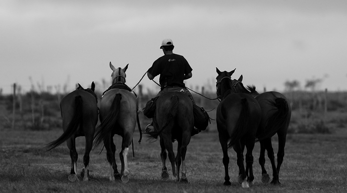 Practicas en VIK