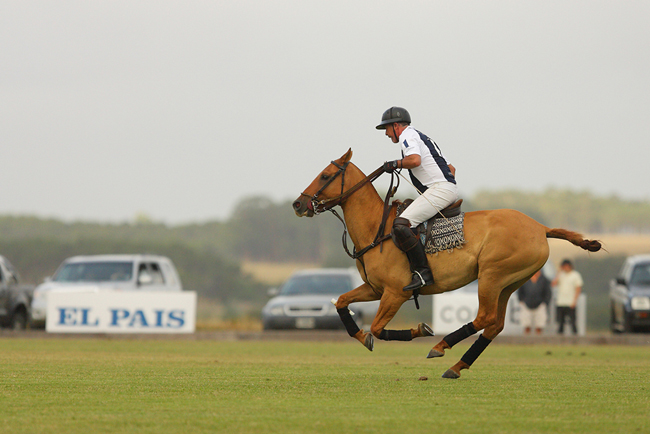 Copa ART Terramar La Dolfina vs Fial Linea Polo